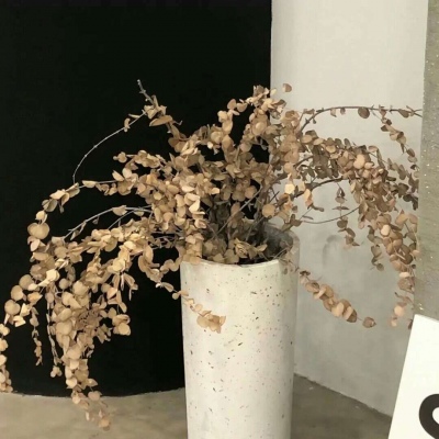 四平福瑞交流群